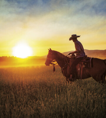 cowboy in sunset