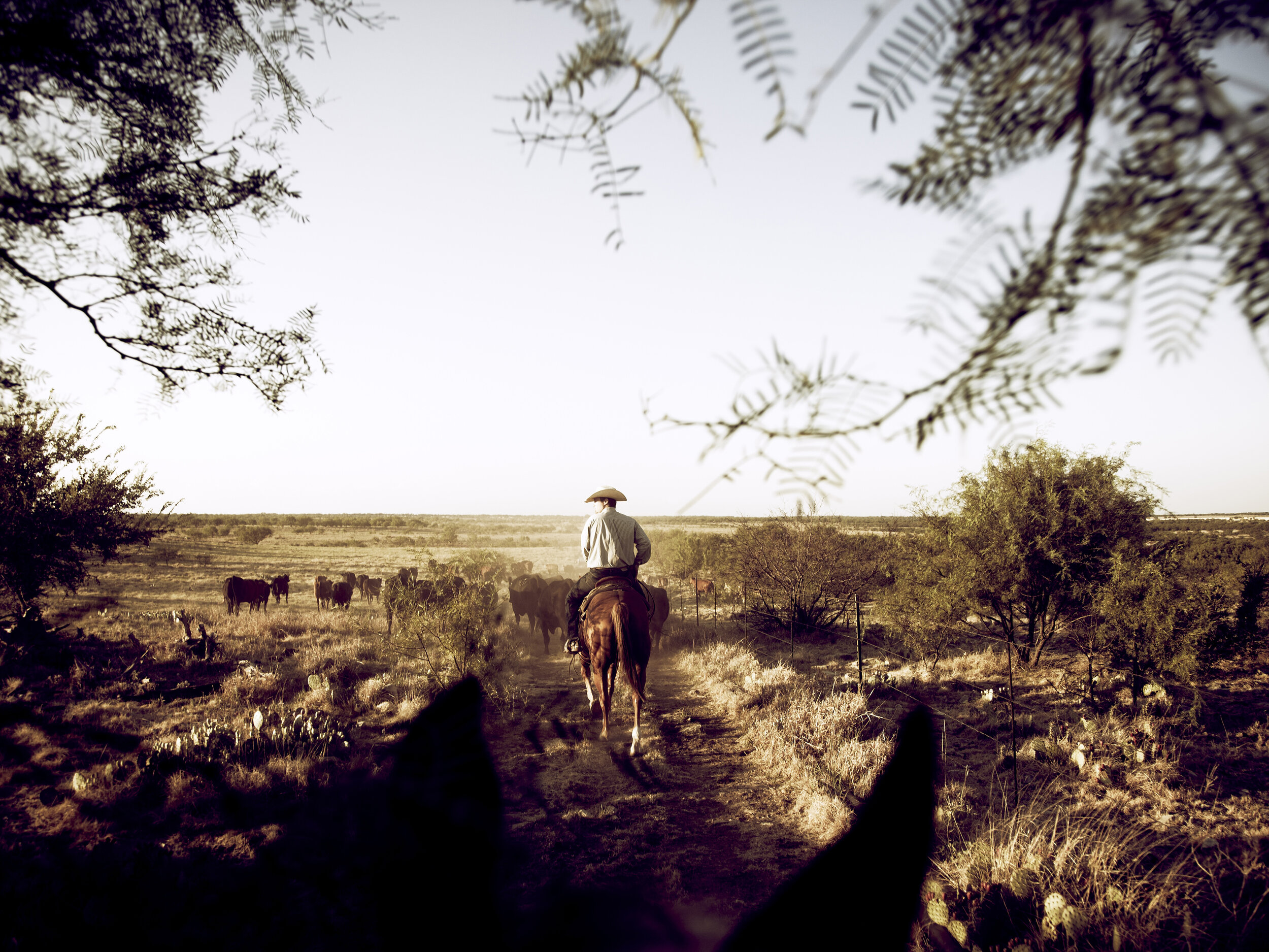 BrownRanch_CASEY_small.jpg