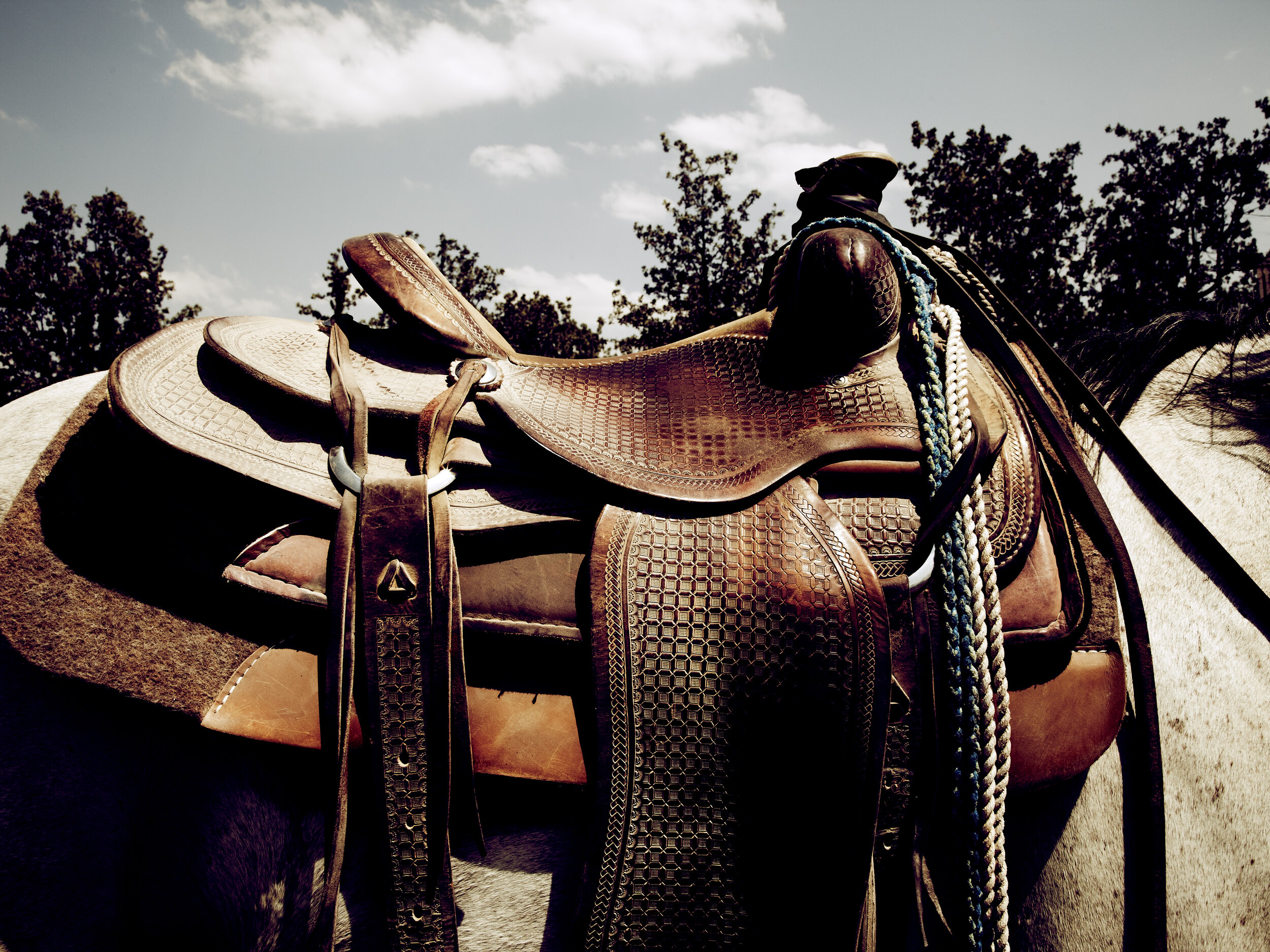 Saddle.jpg