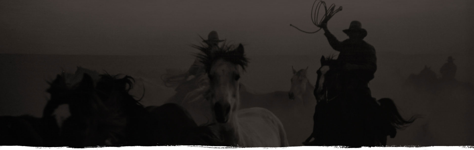 cowboy and horses
