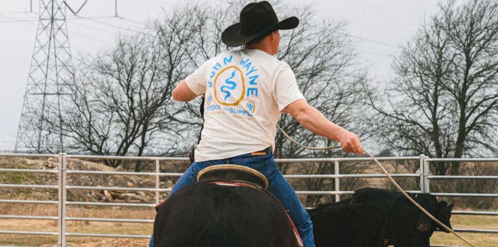 cowboy with cattle