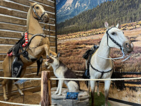 Trigger, Buttermilk, and Bullet